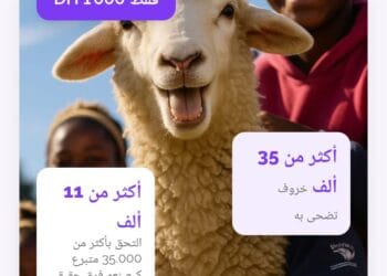 Aïd al-Adha: Kebchi, lance son service par procuration au Maroc