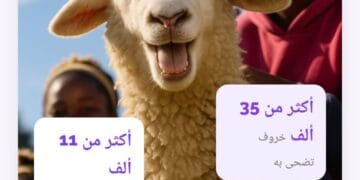 Aïd al-Adha: Kebchi, lance son service par procuration au Maroc