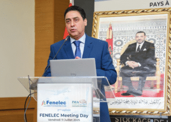 Le «Made in Morocco» au centre du Fenelec Meeting Day