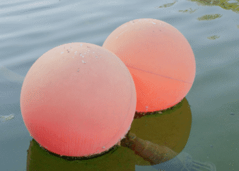 The Water Cabinet, la nouvelle exposition collaborative du MACAAL