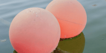 The Water Cabinet, la nouvelle exposition collaborative du MACAAL