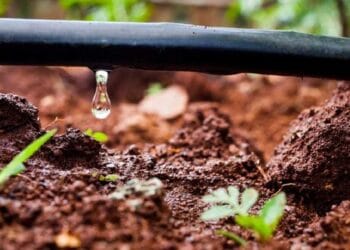 Agriculture solidaire: La BAD accorde 100 M€ au Maroc