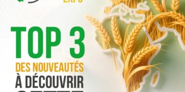 Grain & Milling Expo, les 8 et 9 octobre à Casablanca