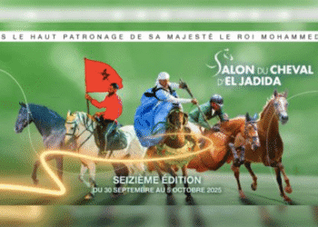 Salon du cheval d’El Jadida, du 30 septembre au 5 octobre