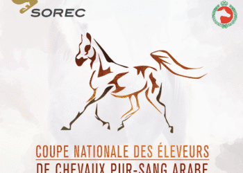 Coupe nationale des éleveurs de chevaux pur-sang arabe, les 6 et 7 septembre
