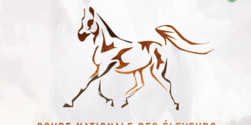 Coupe nationale des éleveurs de chevaux pur-sang arabe, les 6 et 7 septembre
