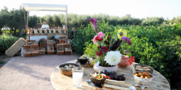 Le Jardin Ocre, nouvelle destination botanique et éducative à Marrakech