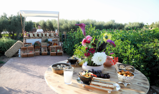 Le Jardin Ocre, nouvelle destination botanique et éducative à Marrakech