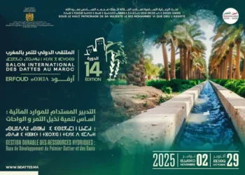 Sidattes 2025, du 29 octobre au 2 novembre à Erfoud