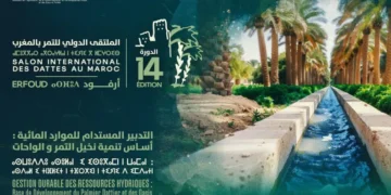 Sidattes 2025, du 29 octobre au 2 novembre à Erfoud