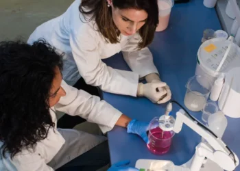 Jeunes talents Maghreb: Remise des prix du programme «Pour les femmes et la science»