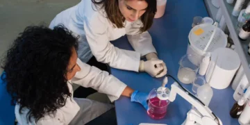 Jeunes talents Maghreb: Remise des prix du programme «Pour les femmes et la science»