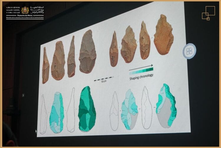 Découverte de nouveaux fossiles d’hominines à Casablanca.