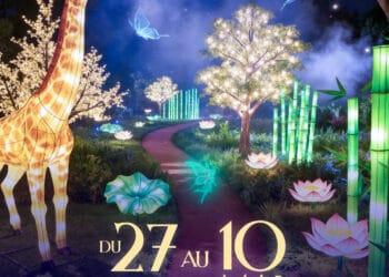 Magic Garden Light Festival Casablanca