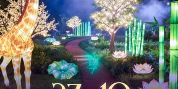 Magic Garden Light Festival Casablanca