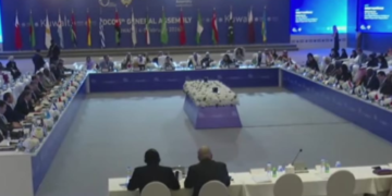 Organisation de la coopération numérique