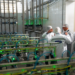 Unité de production Extralait Kénitra