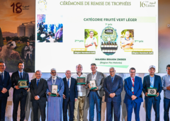 Huile d’olive: douze marques primées lors du 16e concours national