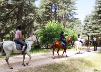 Tourisme écologique: Un circuit équestre balisé de 181 km inauguré à Ifrane