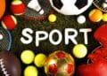 Parution du 1er Guide officiel des professionnels du sport au Maroc