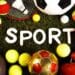 Parution du 1er Guide officiel des professionnels du sport au Maroc