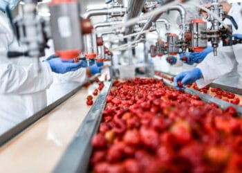 La décarbonation des industries alimentaires au cœur d&rsquo;une rencontre à Rabat