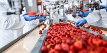 La décarbonation des industries alimentaires au cœur d&rsquo;une rencontre à Rabat