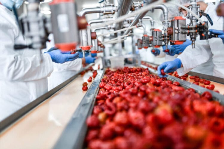 La décarbonation des industries alimentaires au cœur d&rsquo;une rencontre à Rabat
