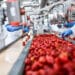 La décarbonation des industries alimentaires au cœur d&rsquo;une rencontre à Rabat