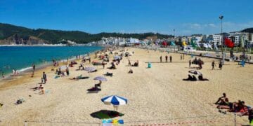 Lancement du Programme national d’estivage 2026