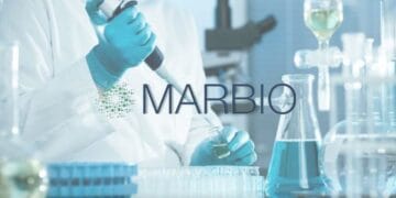 Le Fonds Mohammed VI pour l’investissement reprend 10% de Marbio détenus par Recipharm