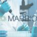 Le Fonds Mohammed VI pour l’investissement reprend 10% de Marbio détenus par Recipharm
